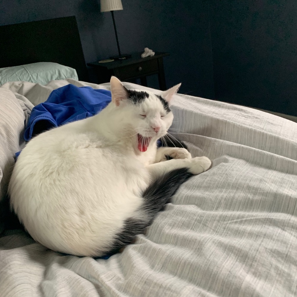 Meet your Posher, Bonnie